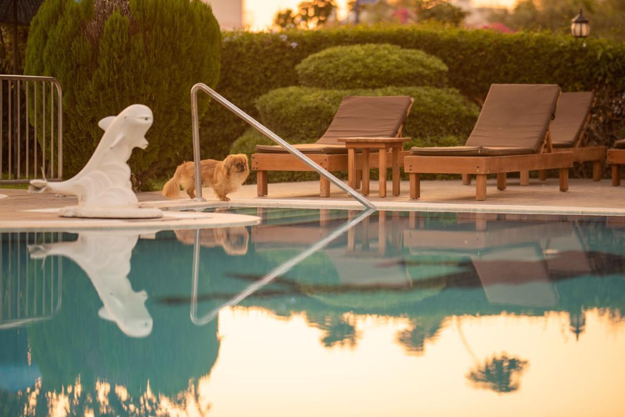 Golden Moon Hotel 페티예 외부 사진